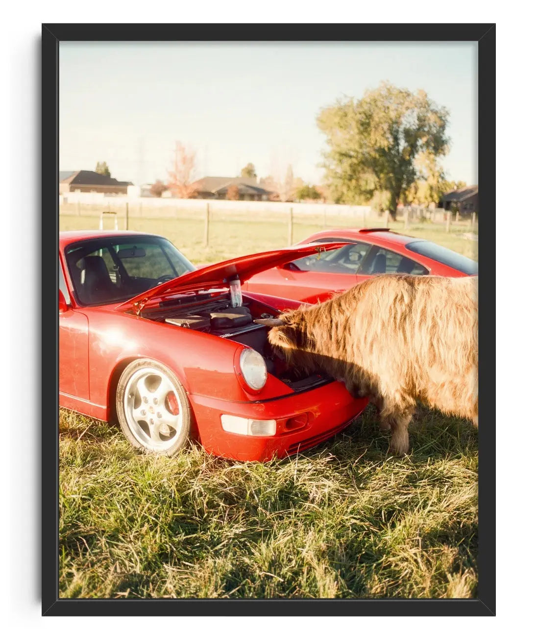 Cows and Cars contemporary art print by Deston Isas - sold by DROOL