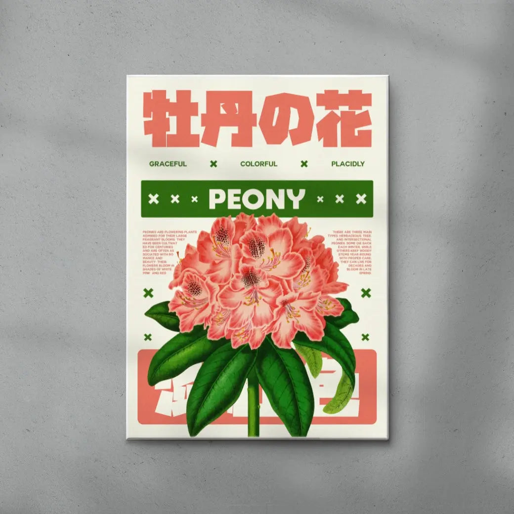 Peony flower poster