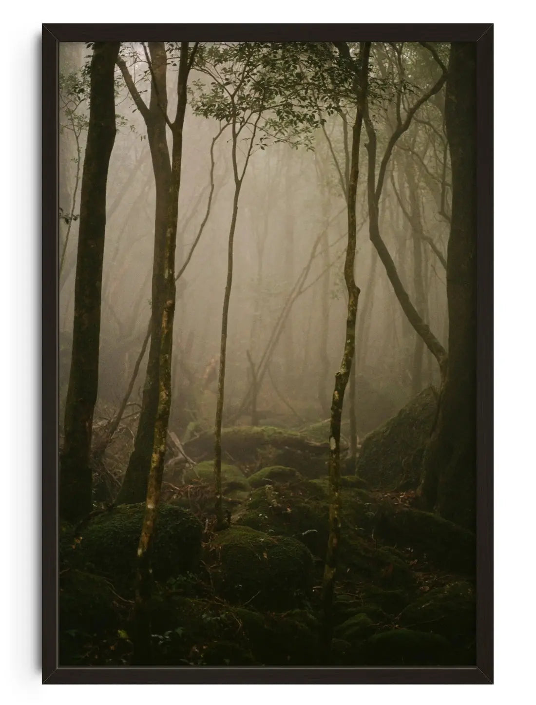 Lurking contemporary wall art print by Marine Toux - sold by DROOL