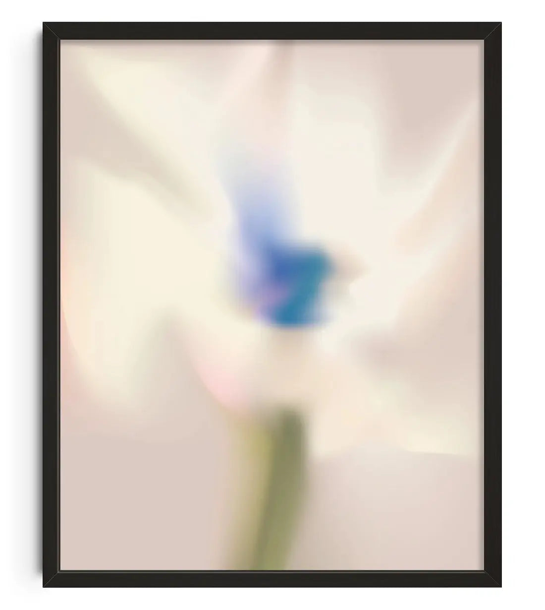 White Flower contemporary wall art print by Federico Sánchez - sold by DROOL