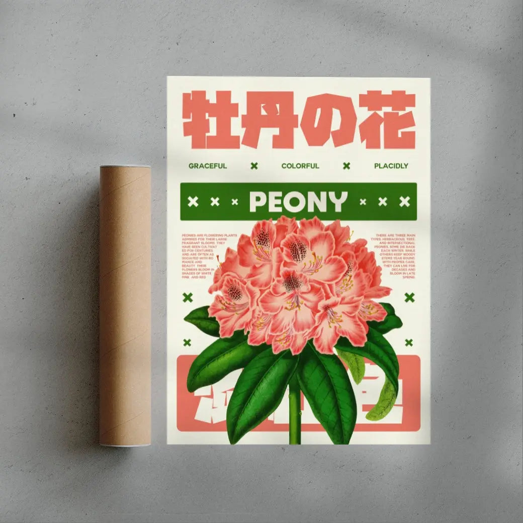 Peony flower poster
