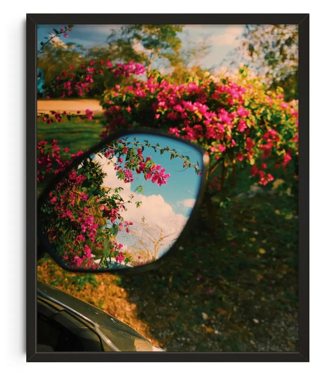 Mirror Bloom - Print by Mandy Sham | DROOL Art