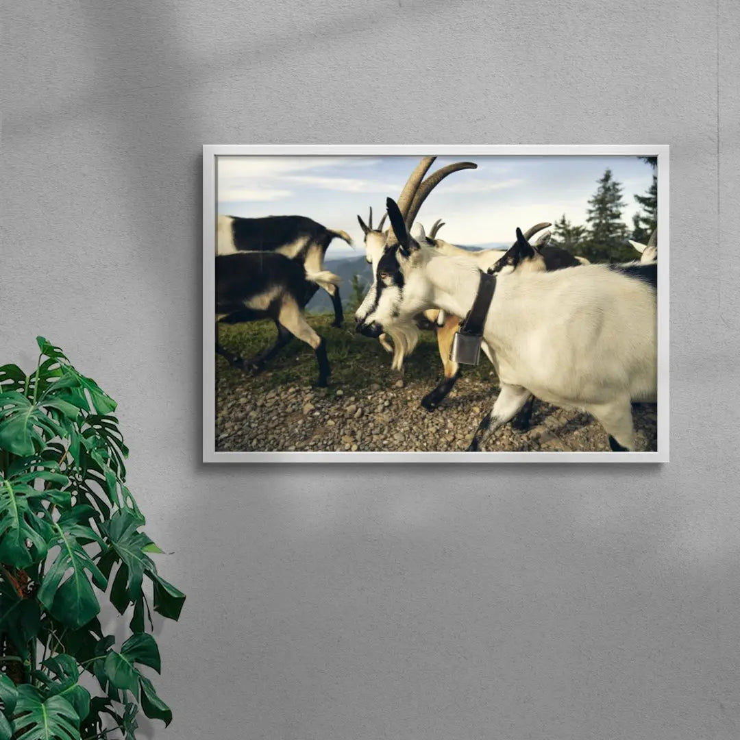 Mountain Herd contemporary wall art print by Shin Miura - sold by DROOL