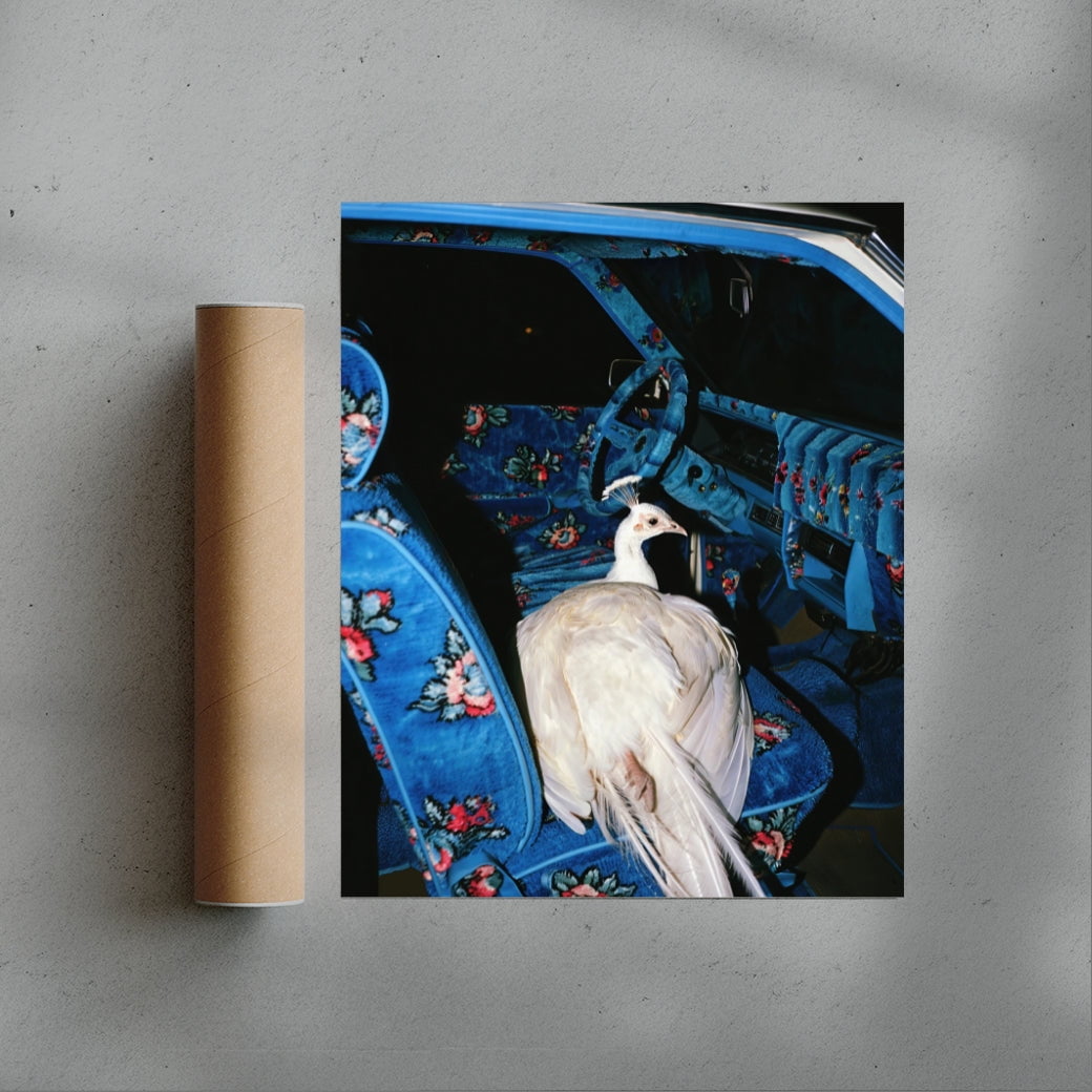 GO WHERE YOU GO. contemporary wall art print by Ces XC - sold by DROOL