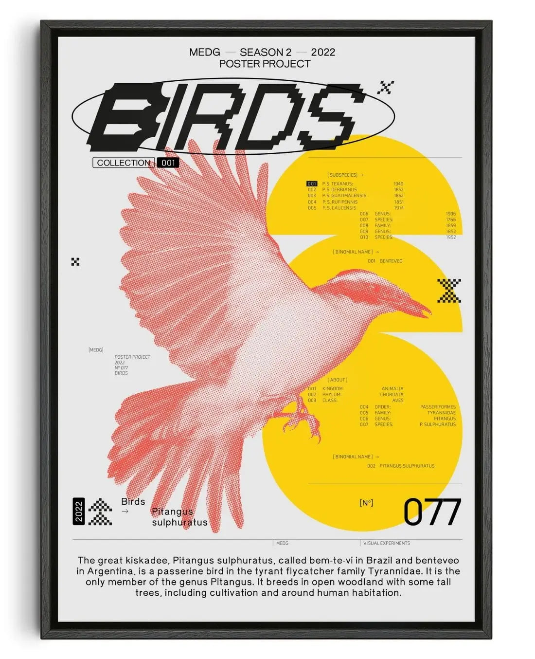 Birds contemporary wall art print by MEDG - sold by DROOL