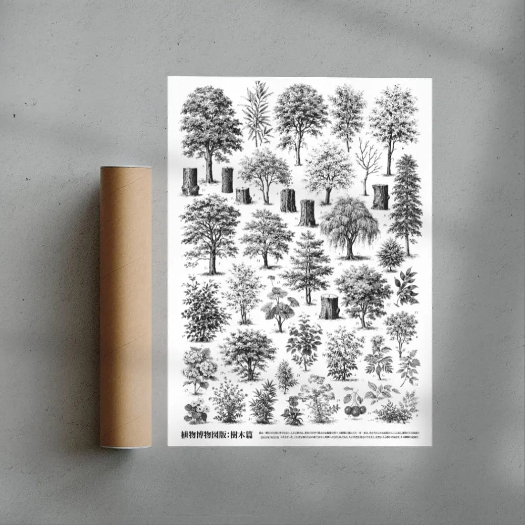 Whispers of the Woodland contemporary wall art print by Todd Pham - sold by DROOL