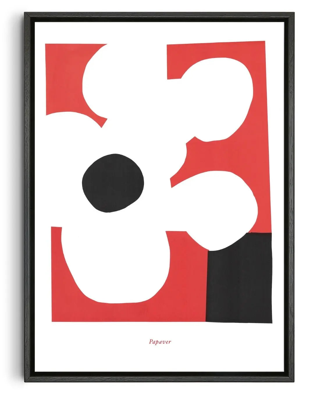 Papaver contemporary wall art print by Rikki Hewitt - sold by DROOL