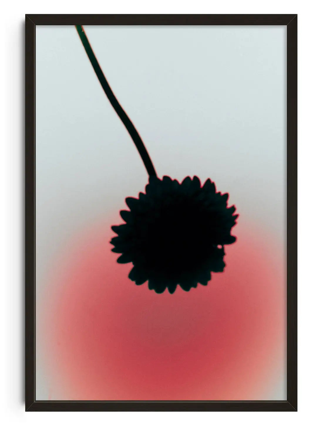 Flower Silhouette contemporary wall art print by Miles Caliboso - sold by DROOL