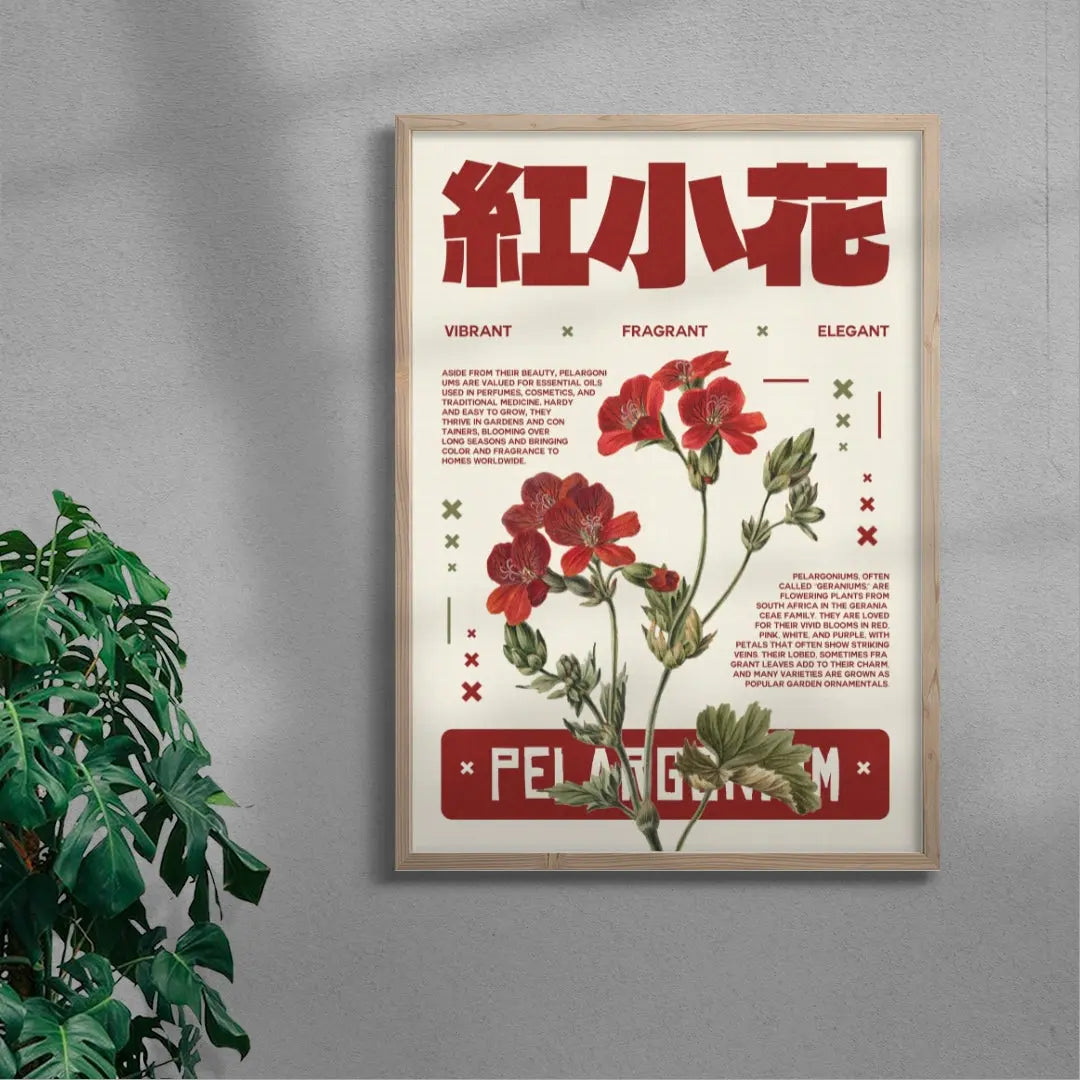 Pelargonium poster