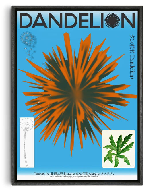Dandelion