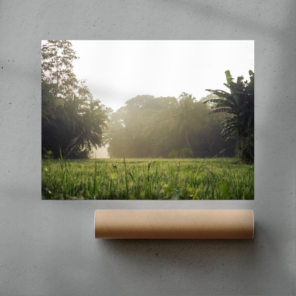 12x18" (30x45cm) Morning in countryside contemporary wall art print by la_malinde - sold by DROOL