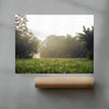 Morning in countryside contemporary wall art print by la_malinde - sold by DROOL