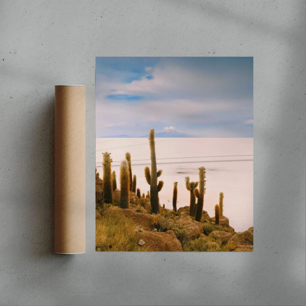 Salty Cacti contemporary wall art print by Mandy Sham - sold by DROOL