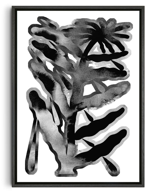 The Flower and the drops