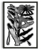 Load image into Gallery viewer, The Flower and the drops contemporary wall art print by Célestin Krier - sold by DROOL