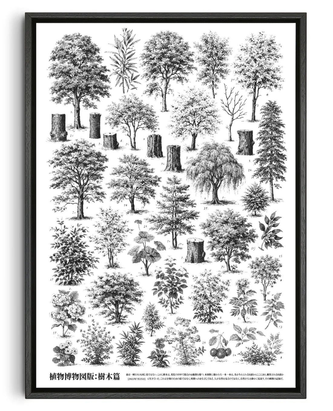 Whispers of the Woodland contemporary wall art print by Todd Pham - sold by DROOL