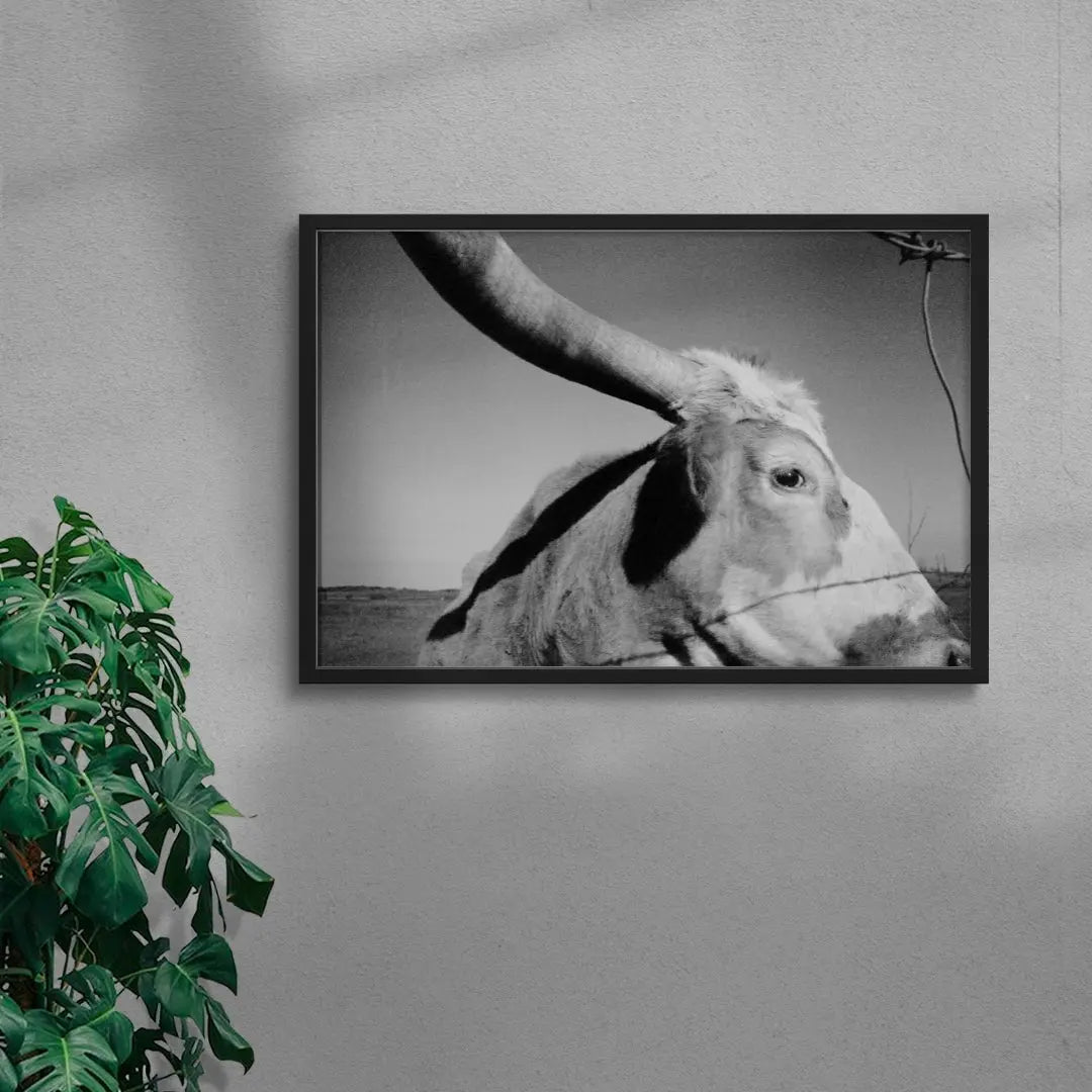 Longhorn Gaze contemporary wall art print by Lauren Withrow - sold by DROOL