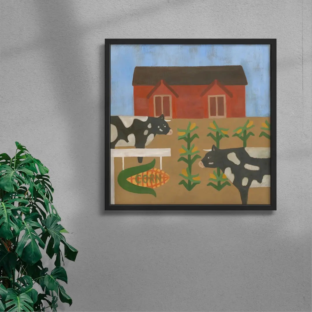 The cows that got the corn