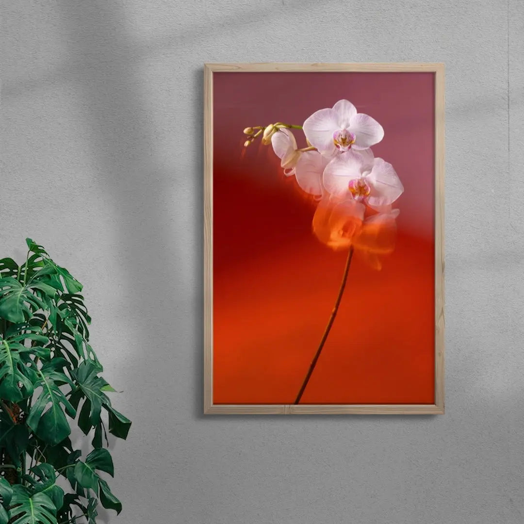 Blushing Orchid contemporary wall art print by Kristina Kulakova - sold by DROOL
