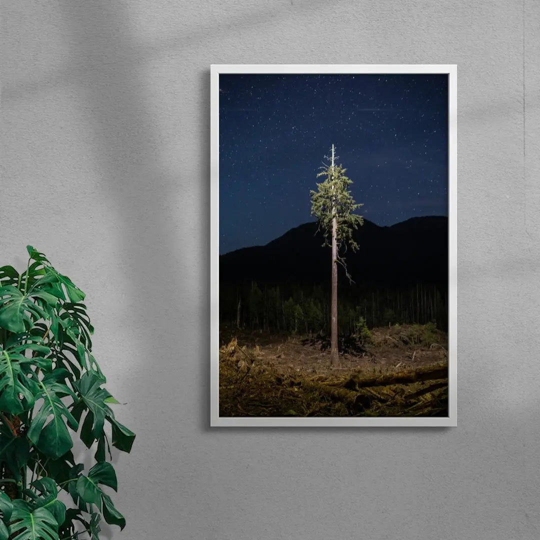 Lone Tree contemporary wall art print by Joshua Cogan - sold by DROOL