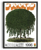 Load image into Gallery viewer, Willow Tree contemporary wall art print by George Kempster - sold by DROOL