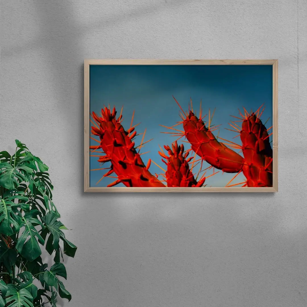 Crimson Cactus contemporary wall art print by Omar Belattar - sold by DROOL