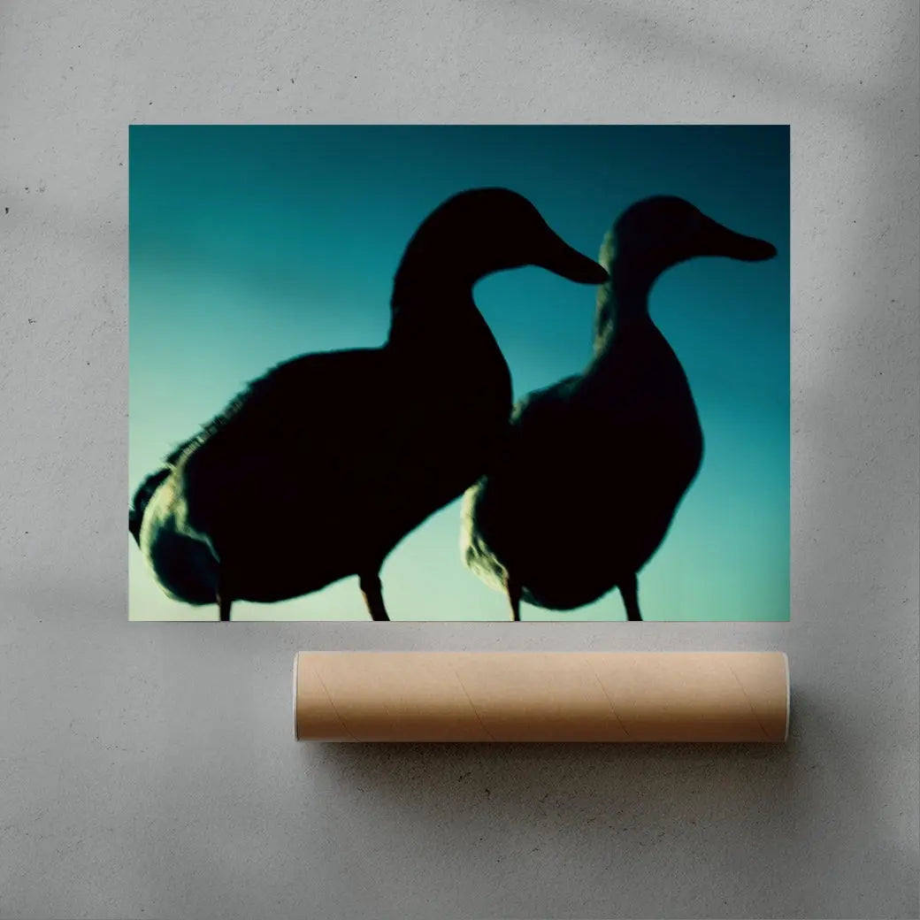 Duck Pair contemporary wall art print by Omar Belattar - sold by DROOL