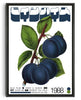 Load image into Gallery viewer, Blue Plum contemporary wall art print by George Kempster - sold by DROOL