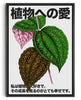 Load image into Gallery viewer, Plant Love 4 contemporary wall art print by DROOL Collective - sold by DROOL
