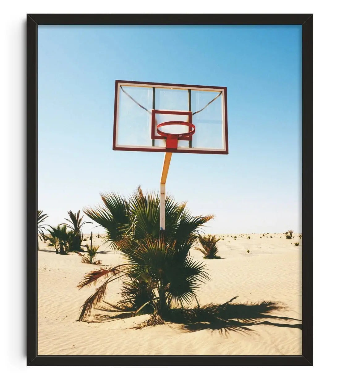 BALL IS LIFE contemporary wall art print by Ces XC - sold by DROOL
