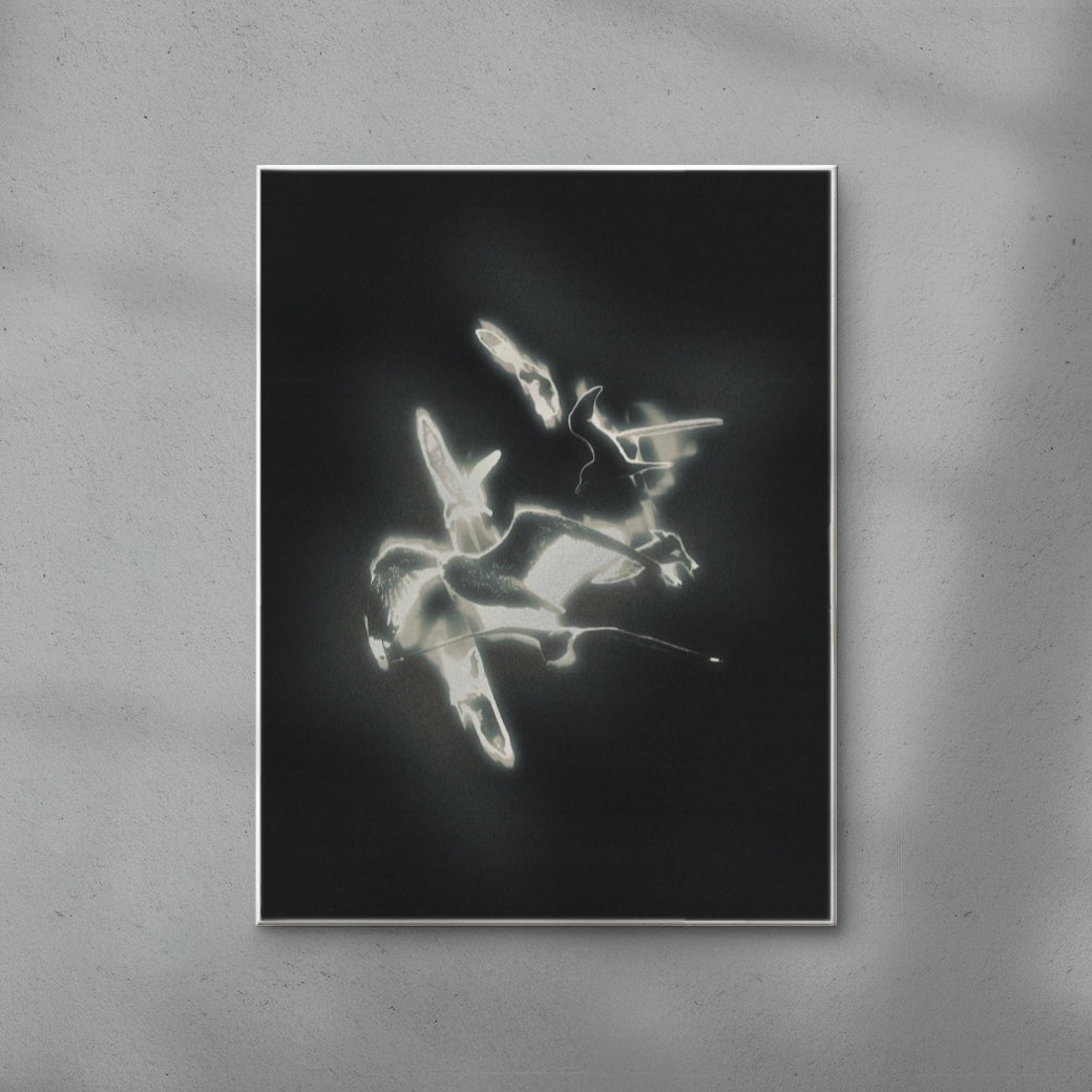 Spirals contemporary wall art print by Antoine Paikert - sold by DROOL