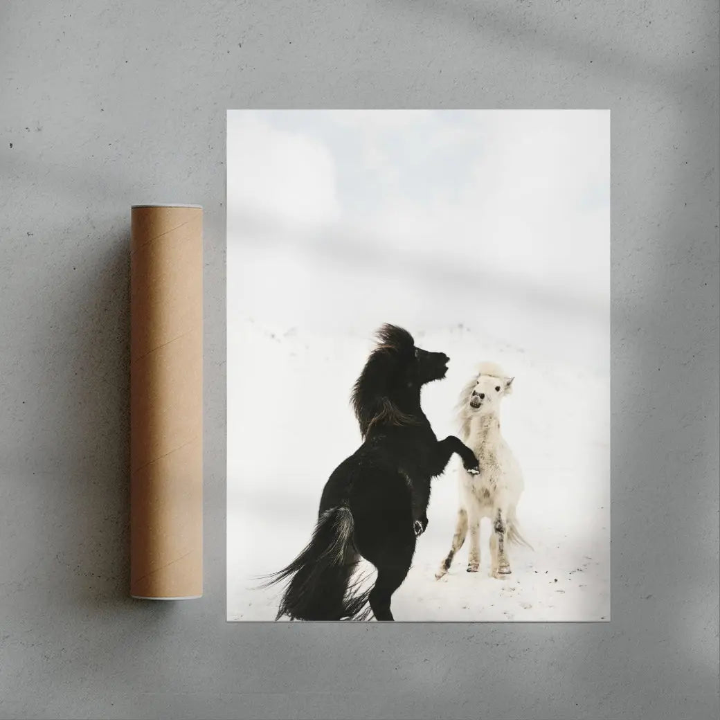 Frosty Duel contemporary wall art print by Mickael Samama - sold by DROOL