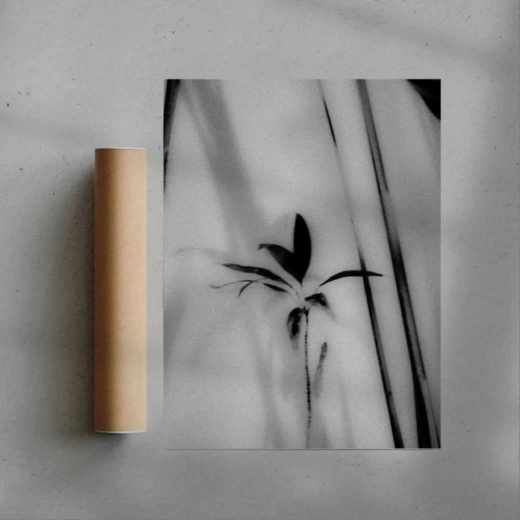Silhouetted Plant contemporary wall art print by Laura James - sold by DROOL