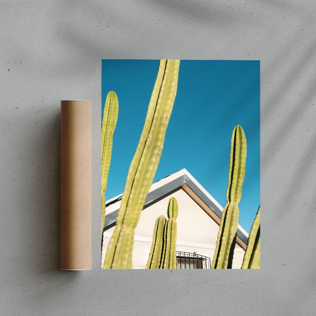 Among the cactus contemporary wall art print by Eve Lee - sold by DROOL