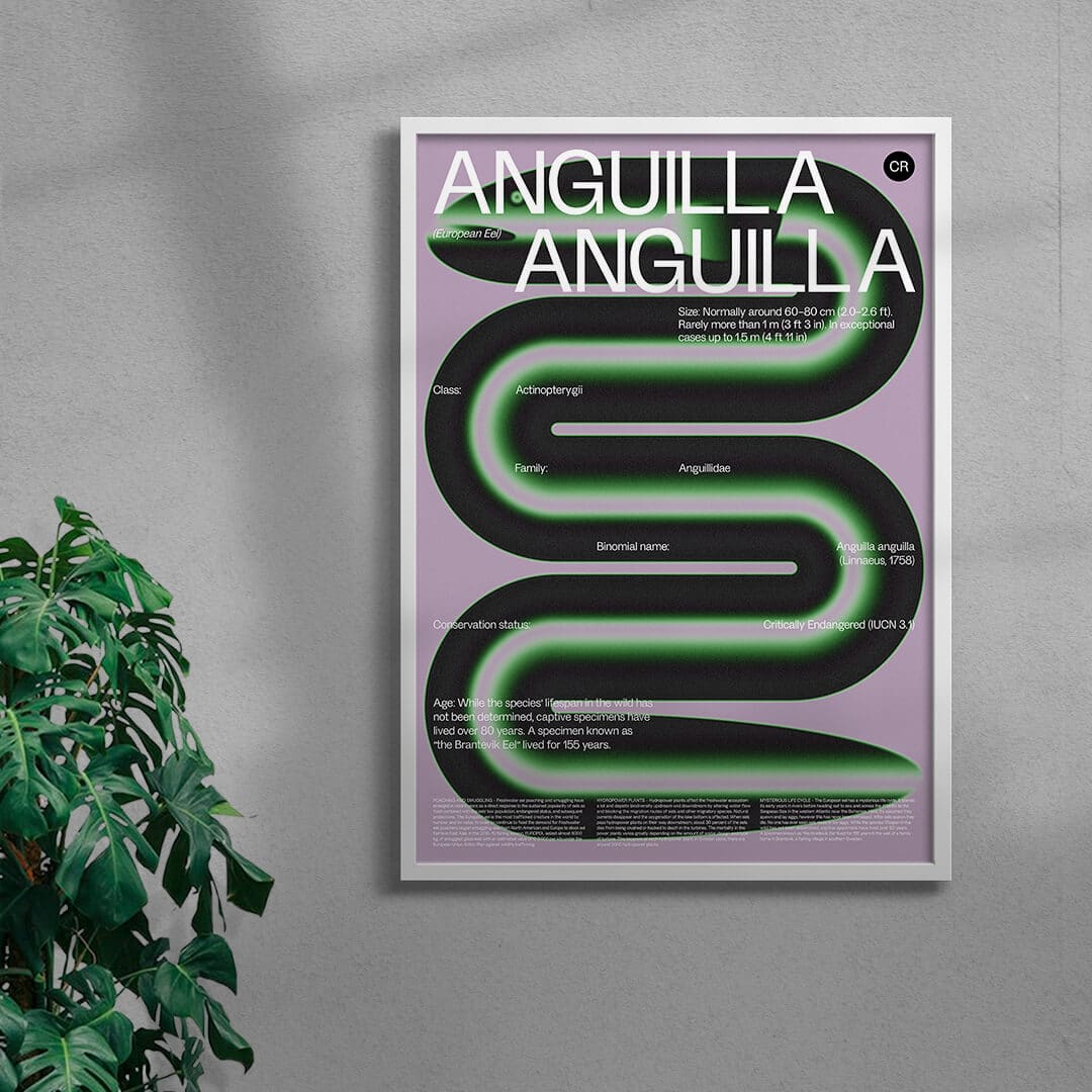 Anguilla contemporary wall art print by John Schulisch - sold by DROOL