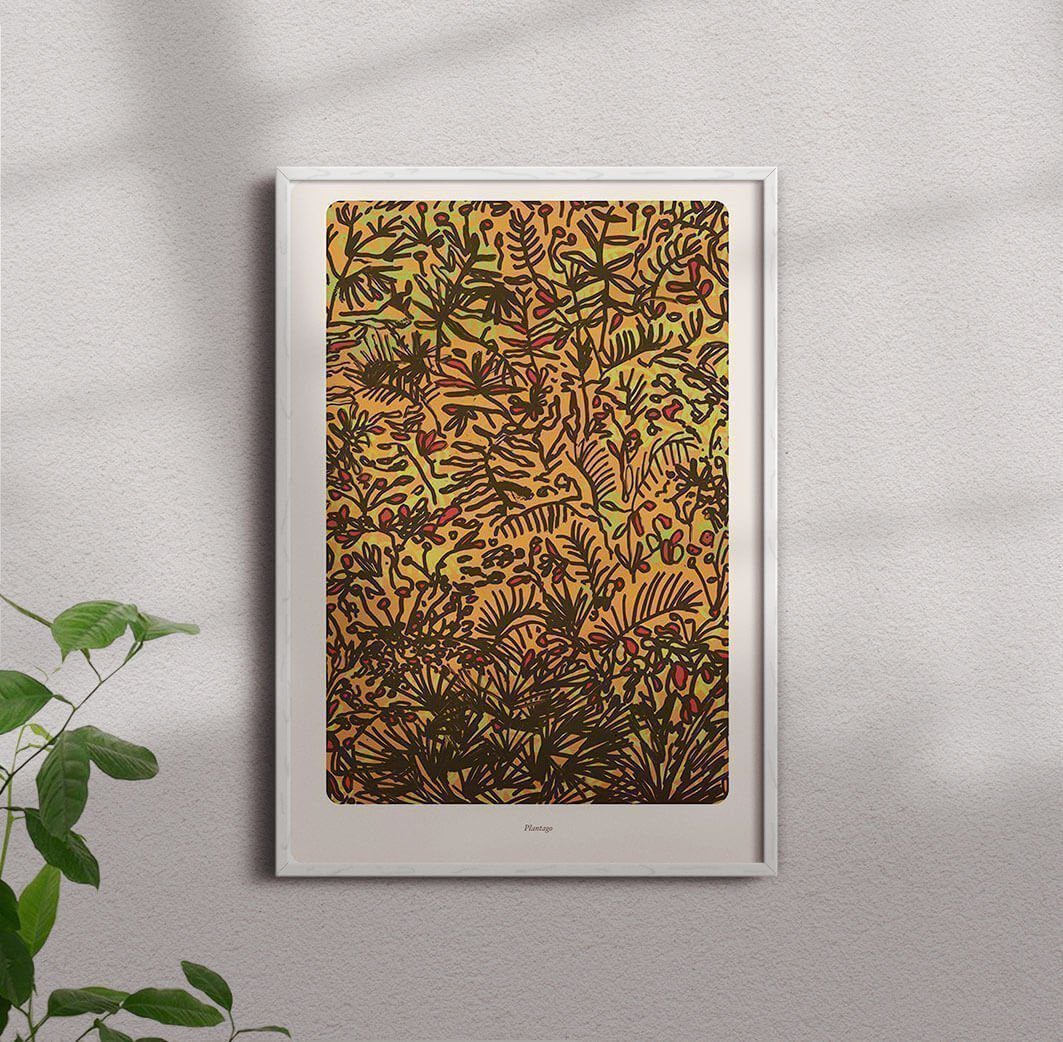 Plantago contemporary wall art print by Rikki Hewitt - sold by DROOL