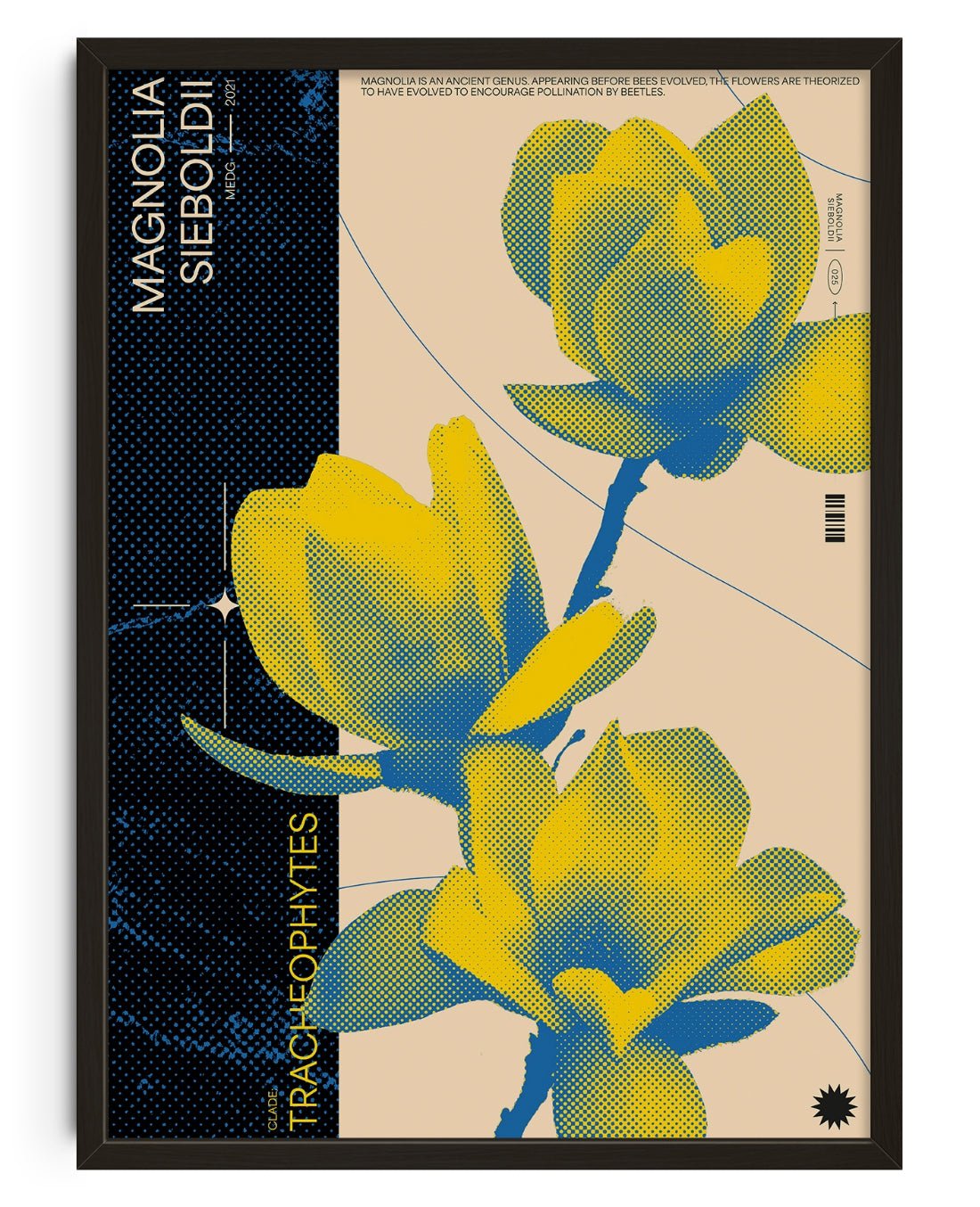 Magnolia contemporary wall art print by MEDG - sold by DROOL