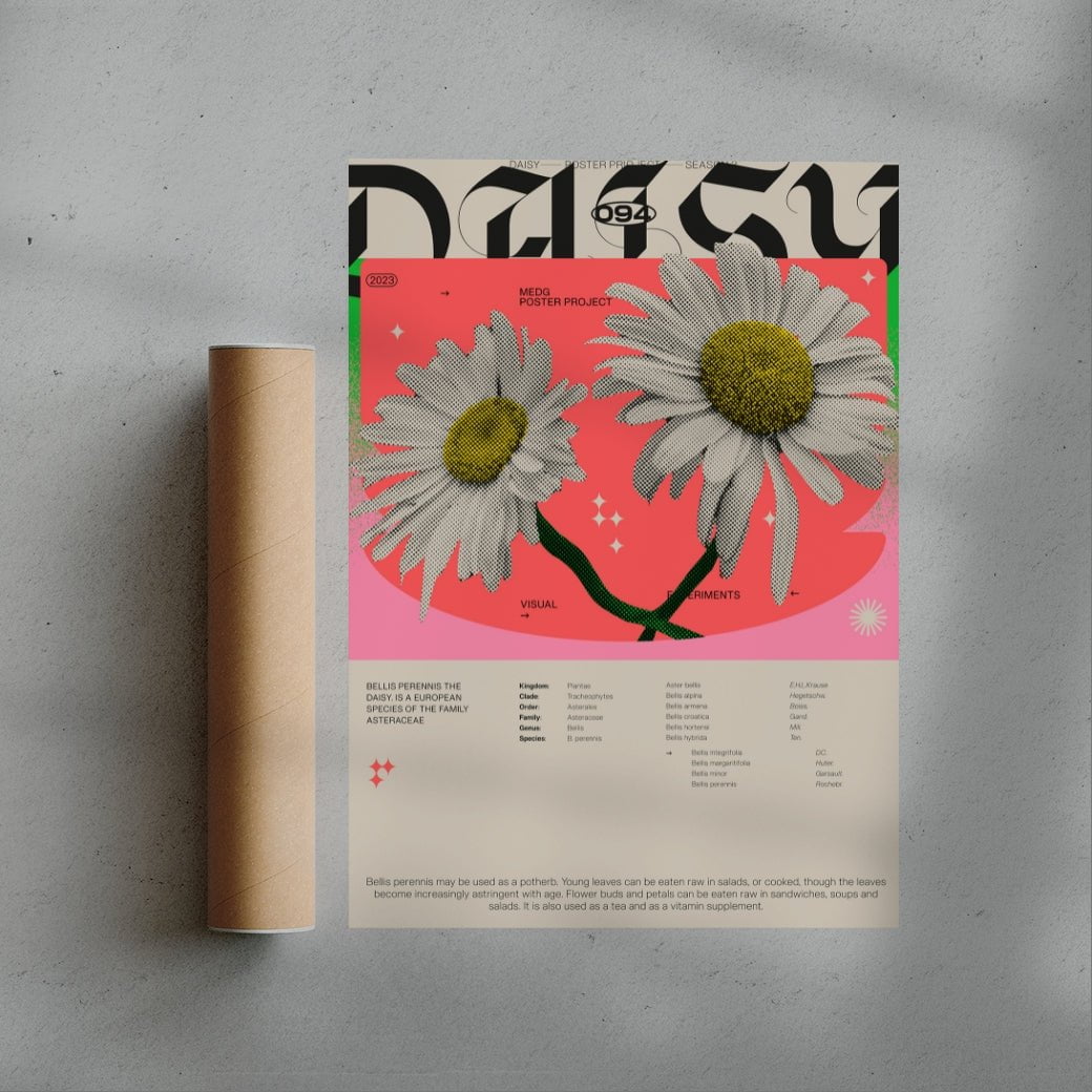 Daisy contemporary wall art print by MEDG - sold by DROOL
