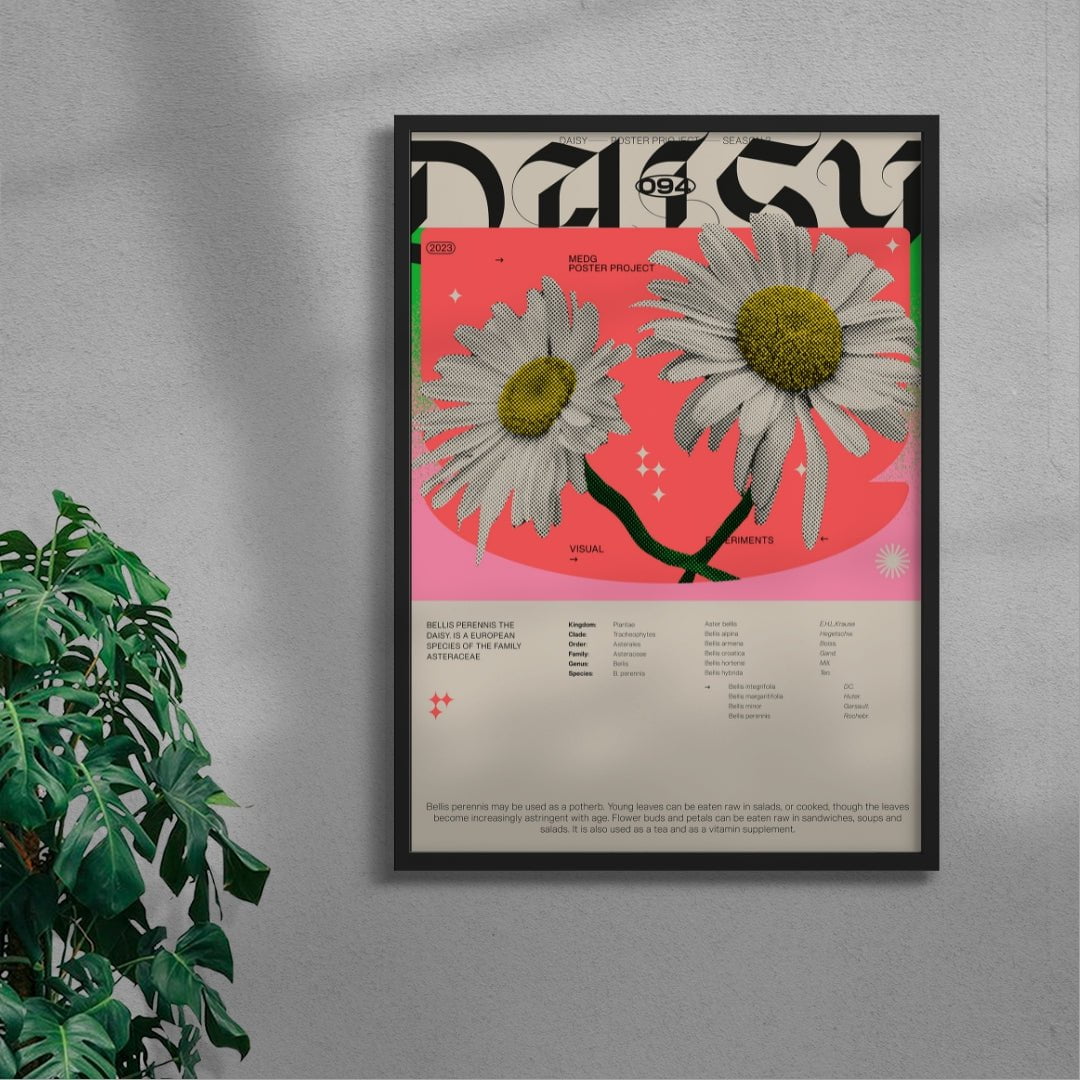 Daisy contemporary wall art print by MEDG - sold by DROOL