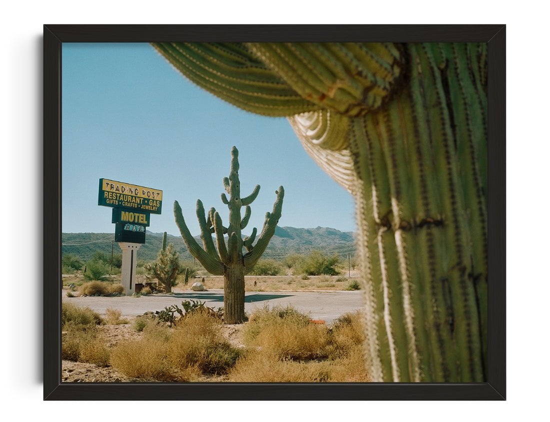 Framing Saguaros contemporary wall art print by Francesco Aglieri Rinella - sold by DROOL