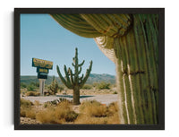 Thumbnail for Framing Saguaros contemporary wall art print by Francesco Aglieri Rinella - sold by DROOL