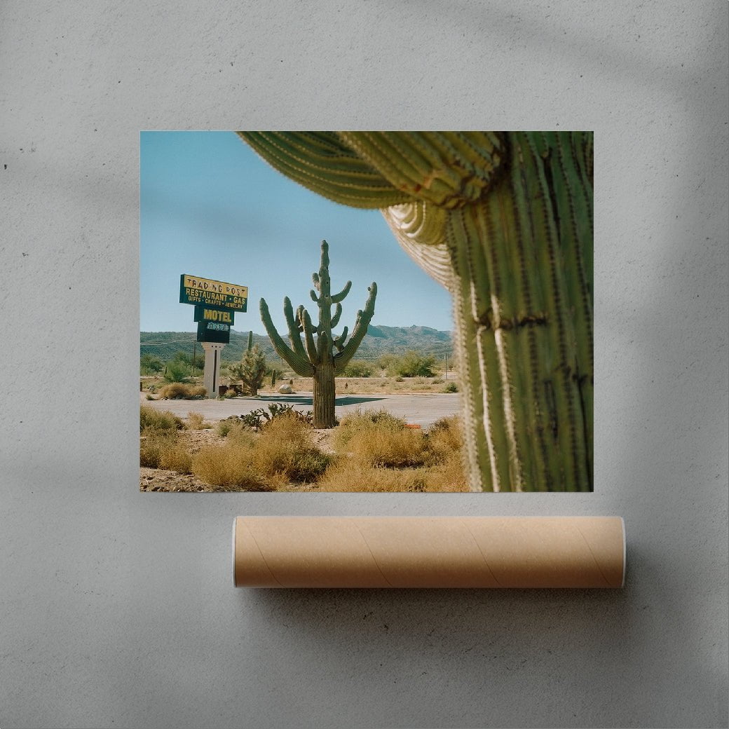 Framing Saguaros contemporary wall art print by Francesco Aglieri Rinella - sold by DROOL